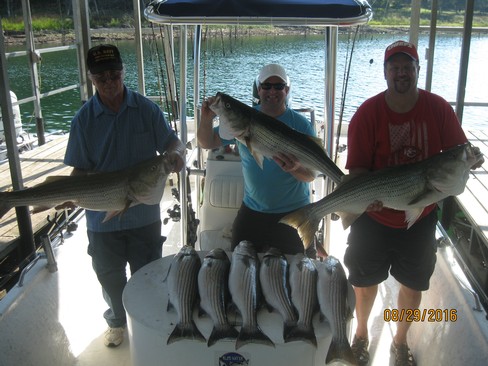 Nice Striped Bass
